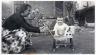 emrys mona 1954