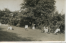 11achristchurchrdgarden