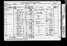 Alfred Buxton 1881 census