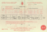 Ceinwen Williams 1898 birth certificate